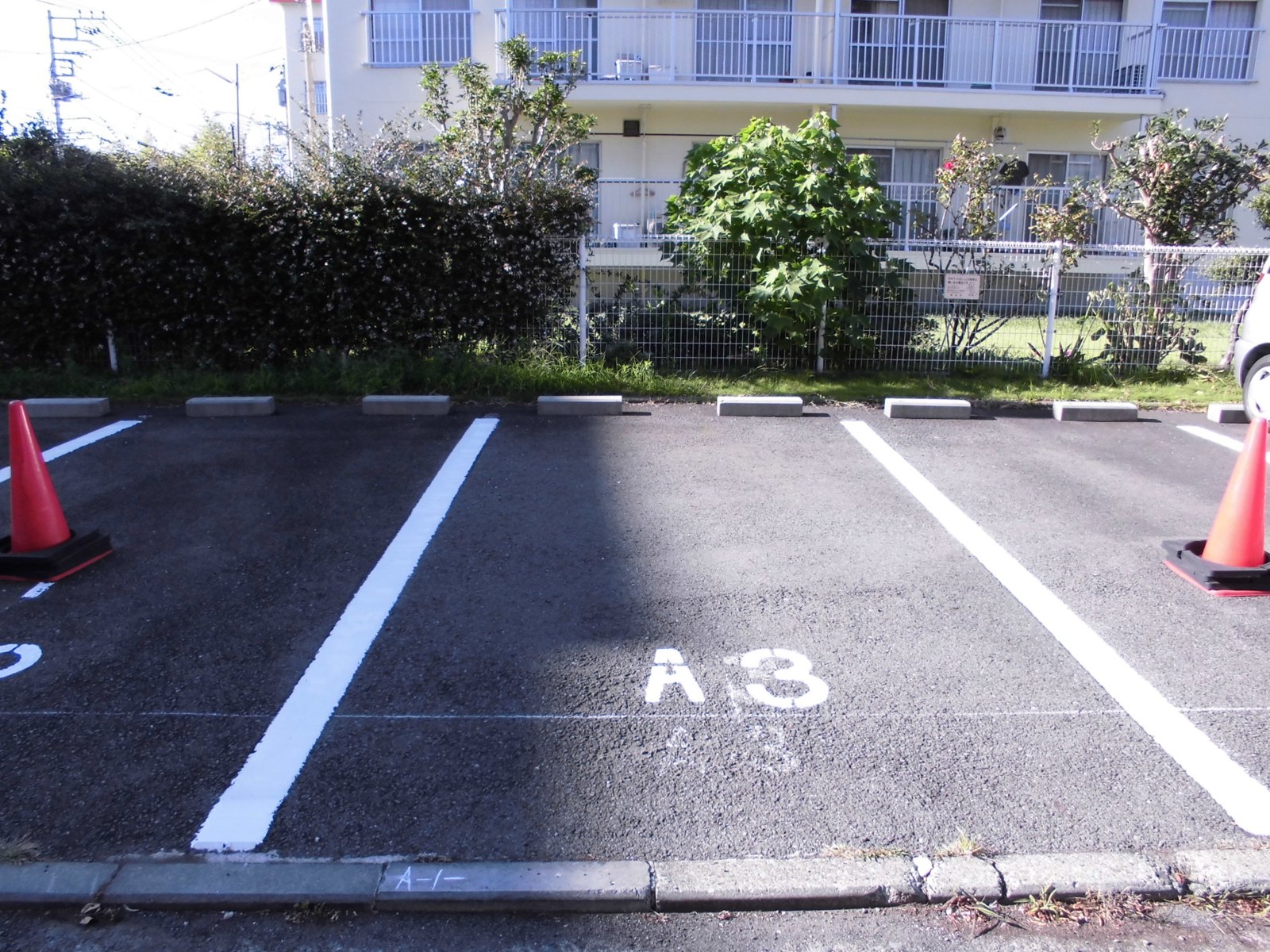 区画線と番号を引き直した後の駐車場